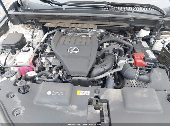 2T2AGCEZ2RC040538 2024 LEXUS NX 350 White Vista trasera