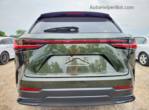 2T2AGCEZ2SC082200 2025 LEXUS NX Green Rear view