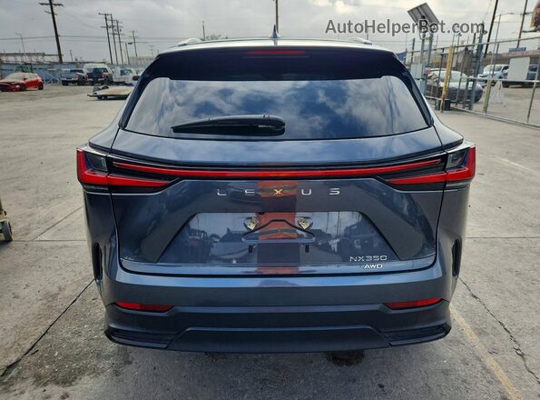 2T2AGCEZ3RC037700 2024 LEXUS NX Gray უკანა ხედი