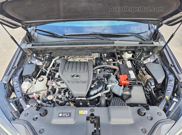 2T2AGCEZ3RC037700 2024 LEXUS NX Gray ძრავის განყოფილების ხედი