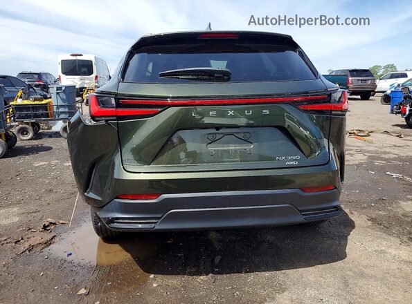 2T2AGCEZ7NC007772 2022 LEXUS NX Green Rear view