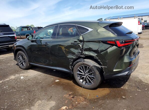 2T2AGCEZ7NC007772 2022 LEXUS NX Green Rear left