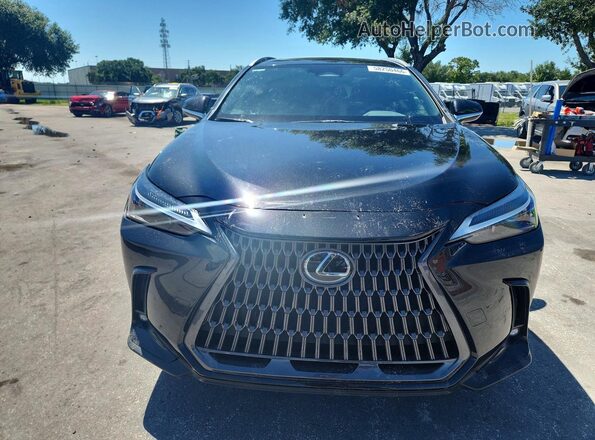 2T2AKCEZ3RC027862 2024 LEXUS NX Black Դիմացի տեսք