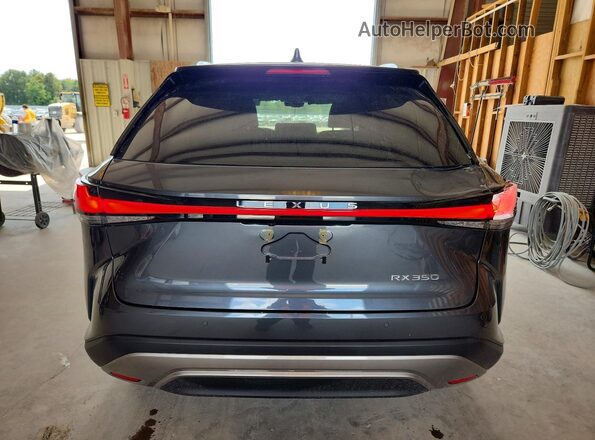 2T2BAMBA1SC053927 2025 LEXUS RX Charcoal Rear view