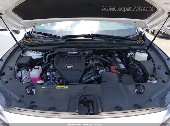 2T2BAMBA1SC060621 2025 LEXUS RX 350 White Widok z tyłu