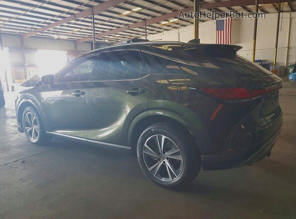 2T2BAMBA3SC064587 2025 LEXUS RX Зеленый Задняя левая четверть