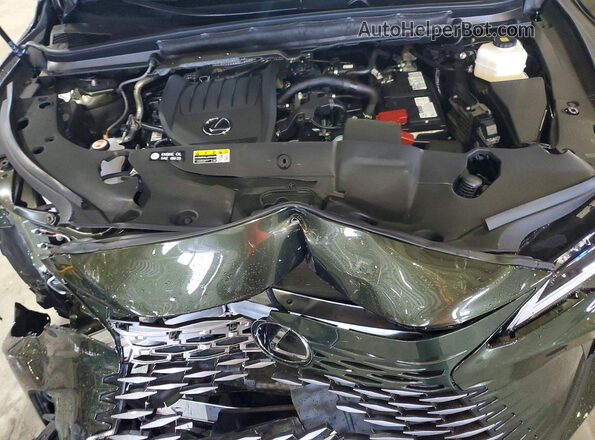 2T2BAMBA3SC064587 2025 LEXUS RX Зеленый Вид задней части салона