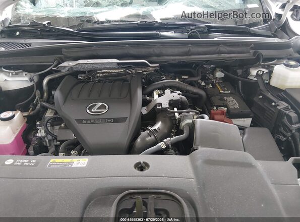 2T2BAMBA6RC038852 2024 LEXUS RX 350 White Widok z tyłu