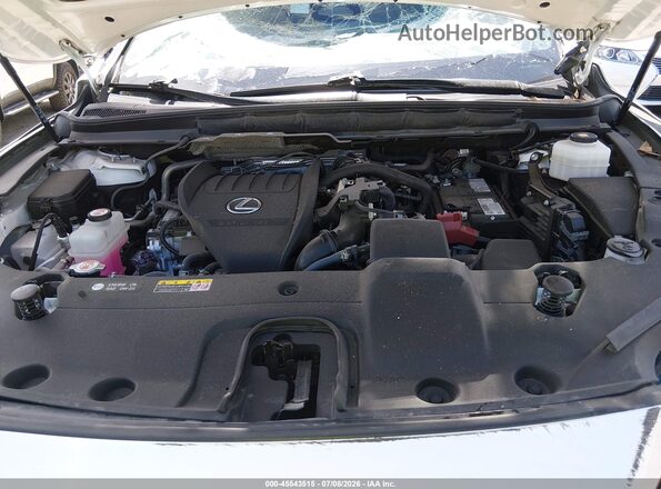 2T2BAMBA7PC007946 2023 LEXUS RX 350 White უკანა ხედი