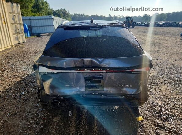 2T2BAMBA8PC005364 2023 LEXUS RX Угольный Вид сзади
