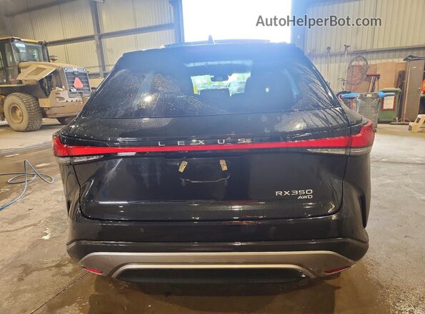 2T2BAMCA0SC095357 2025 LEXUS RX Black უკანა ხედი