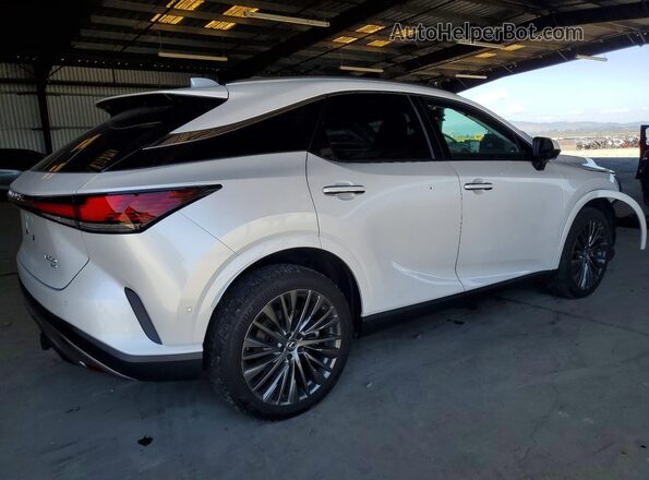 2T2BAMCA3RC071970 2024 LEXUS RX White უკანა მარჯვენა