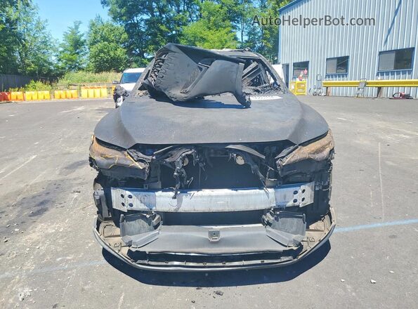 2T2BAMCA3RC076506 2024 LEXUS RX Burn Widok z przodu