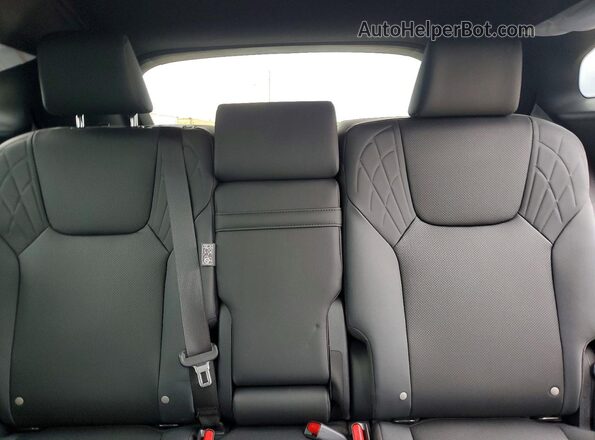 2T2BAMCA3SC098429 2025 LEXUS RX Черный Вид задних сидений