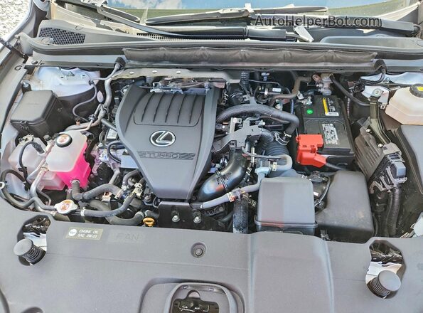2T2BAMCA4PC008616 2023 LEXUS RX Белый Вид задней части салона