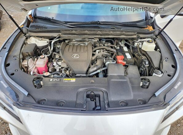 2T2BAMCA4PC025075 2023 LEXUS RX White Widok komory silnika