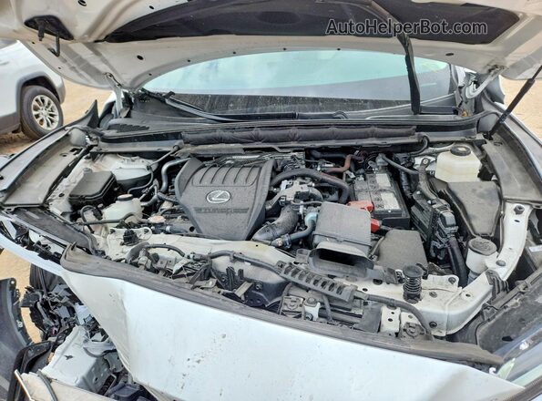 2T2BAMCA4RC063814 2024 LEXUS RX Белый Вид задней части салона