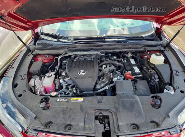 2T2BAMCA4RC069760 2024 LEXUS RX Red Engine compartment view