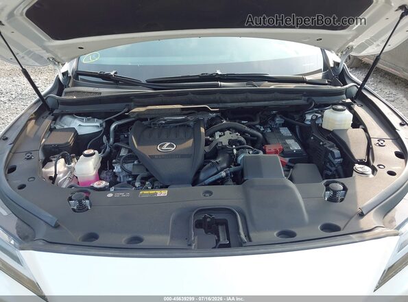 2T2BAMCA5RC072747 2024 LEXUS RX 350 Белый Вид сзади