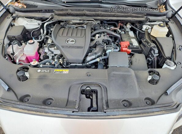 2T2BAMCA5SC092048 2025 LEXUS RX White Engine compartment view