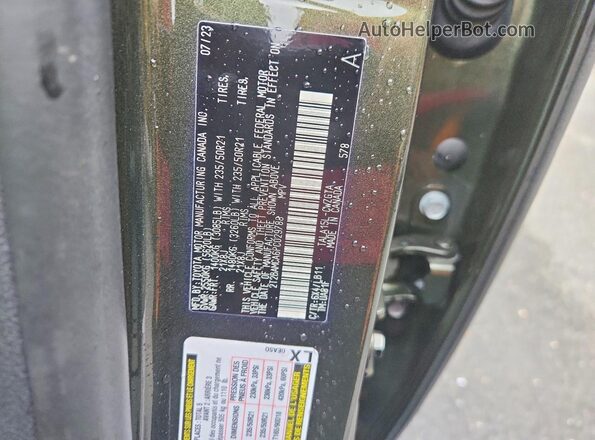 2T2BAMCA6PC029788 2023 LEXUS RX Green Widok naklejki z numerem VIN