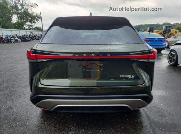 2T2BAMCA6PC029788 2023 LEXUS RX Green Widok z tyłu