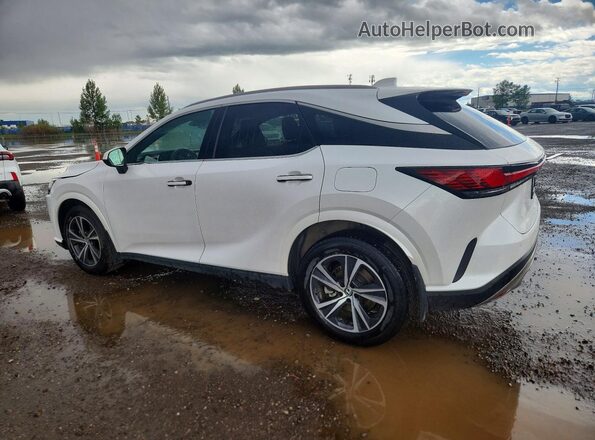 2T2BAMCA6SC106409 2025 LEXUS RX White Задня ліва чверть