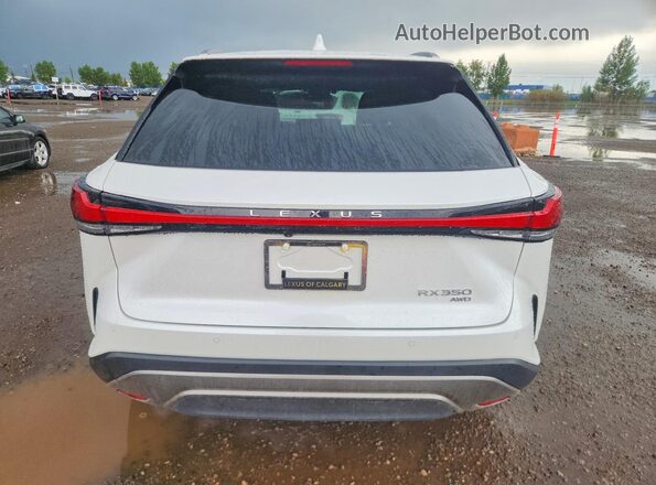 2T2BAMCA6SC106409 2025 LEXUS RX White Вид ззаду