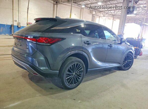 2T2BAMCA8SC121980 2025 LEXUS RX Gray Հետևի աջ