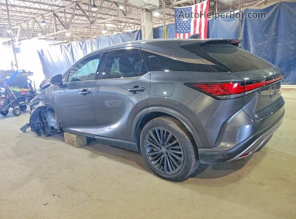 2T2BAMCA8SC121980 2025 LEXUS RX Gray Հետևի ձախ