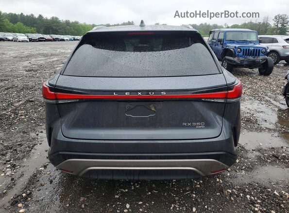 2T2BAMCA9RC049374 2024 LEXUS RX Gray Vista trasera