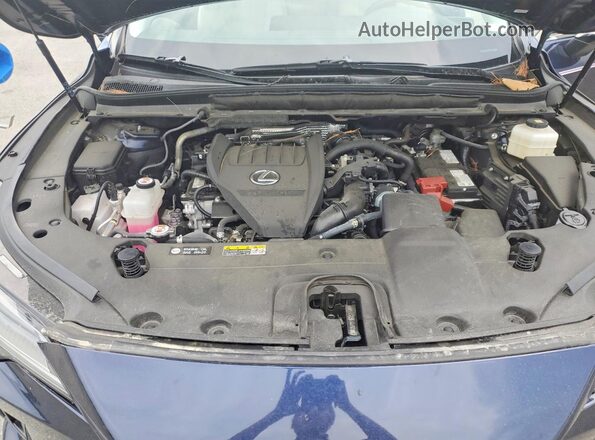 2T2BAMCA9RC069284 2024 LEXUS RX Синий Вид задней части салона
