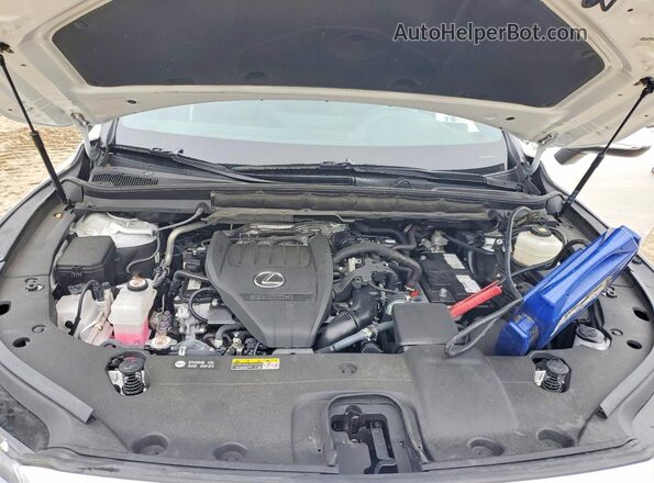 2T2BAMCAXRC069956 2024 LEXUS RX White Widok komory silnika