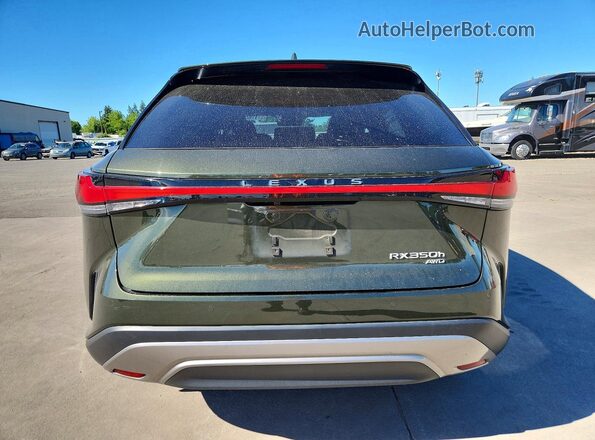 2T2BBMCA1RC028533 2024 LEXUS RX Green Vista trasera