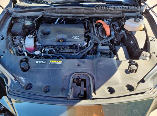 2T2BBMCA1RC028533 2024 LEXUS RX Green Vista interior trasera