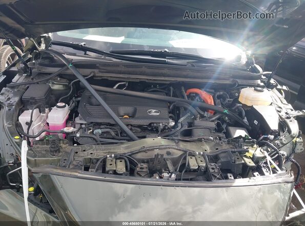 2T2BBMCA2SC069730 2025 LEXUS RX 350H Green უკანა ხედი