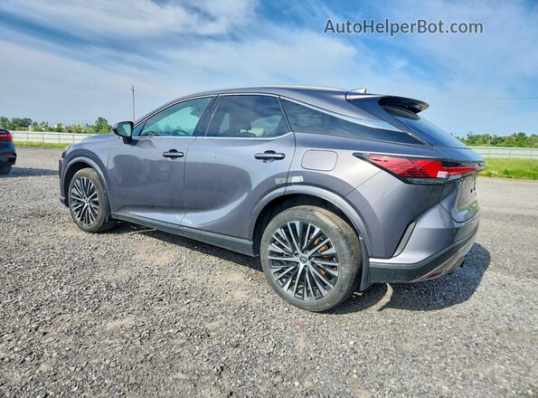 2T2BBMCA3PC010080 2023 LEXUS RX Gray Հետևի ձախ