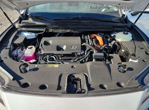 2T2BBMCA5TC139545 2026 LEXUS RX White უკანა სალონის ხედი