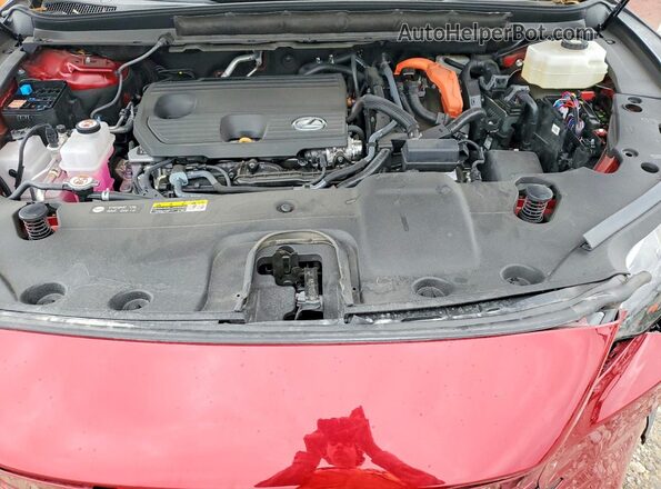 2T2BBMCA6SC083002 2025 LEXUS RX Red Widok wnętrza z tyłu
