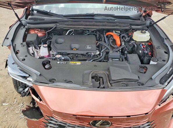 2T2BBMCA7TC124075 2026 LEXUS RX Orange Շարժիչի բաժամունքի տեսք