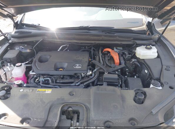 2T2BBMCA8SC087536 2025 LEXUS RX 350H Gray Widok z tyłu