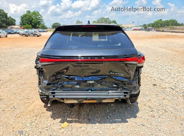2T2BBMCAXRC036047 2024 LEXUS RX Black უკანა ხედი