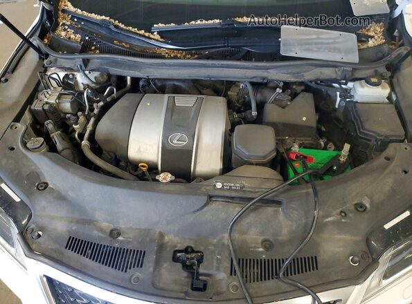2T2BZMCA0KC181213 2019 LEXUS RX White Շարժիչի բաժամունքի տեսք