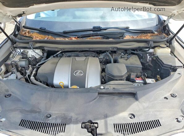 2T2BZMCA4HC067305 2017 LEXUS RX White Вид задньої частини салону