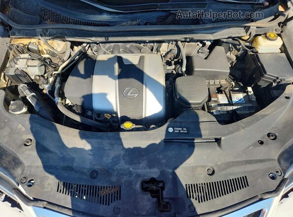 2T2BZMCA8GC044222 2016 LEXUS RX Белый Вид задней части салона