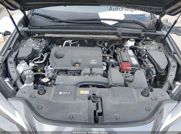2T2GDCAZ0RC006283 2024 LEXUS NX 250 Gray Вид ззаду