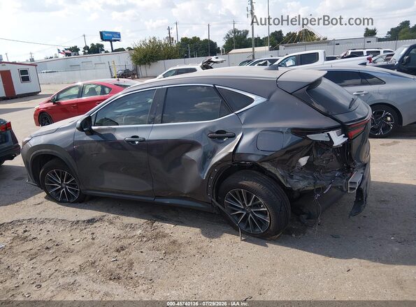 2T2GDCAZ0RC006283 2024 LEXUS NX 250 Gray Панорамний вид салону 360°