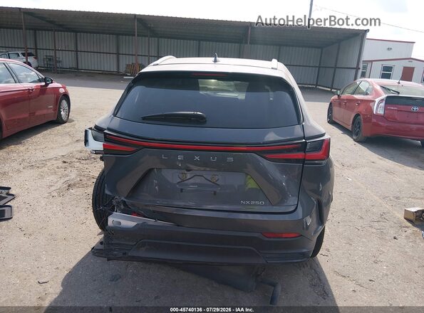 2T2GDCAZ0RC006283 2024 LEXUS NX 250 Gray 
