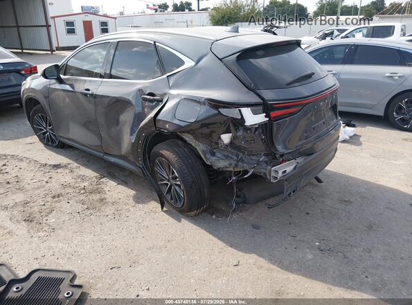 2T2GDCAZ0RC006283 2024 LEXUS NX 250 Gray Задня ліва чверть