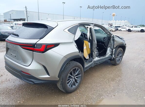 2T2GDCAZ2SC018120 2025 LEXUS NX 250 Silver Задня права чверть